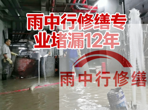 河北中国五矿某大型污水处理厂堵漏案例